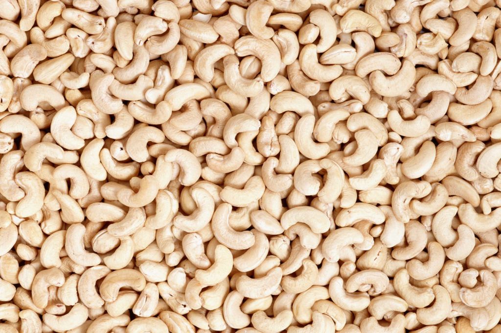 Орех кешью: как растет самый деликатесный из орешков в мире